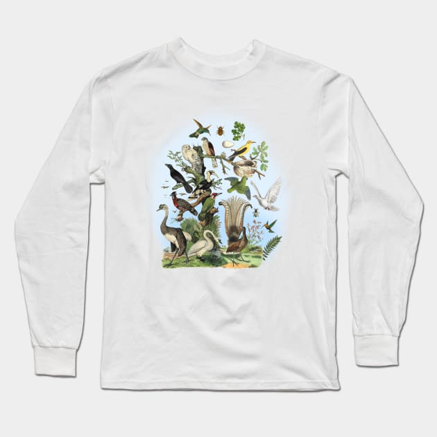 Birds Illustration Long Sleeve T-Shirt by Biophilia